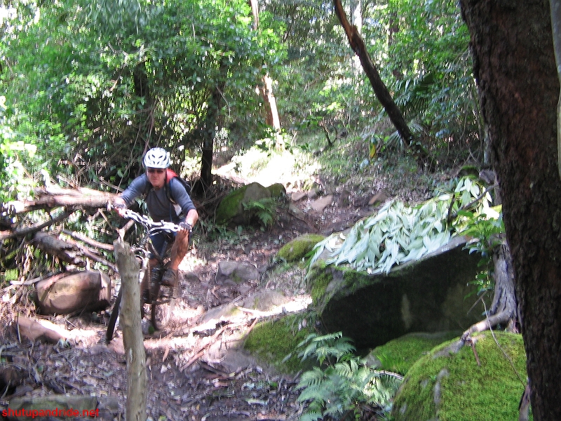 20080210-Bulli 115 